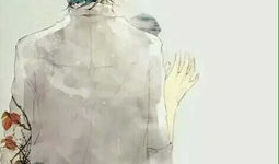 动漫 男 背影,探寻男性角色的内心世界